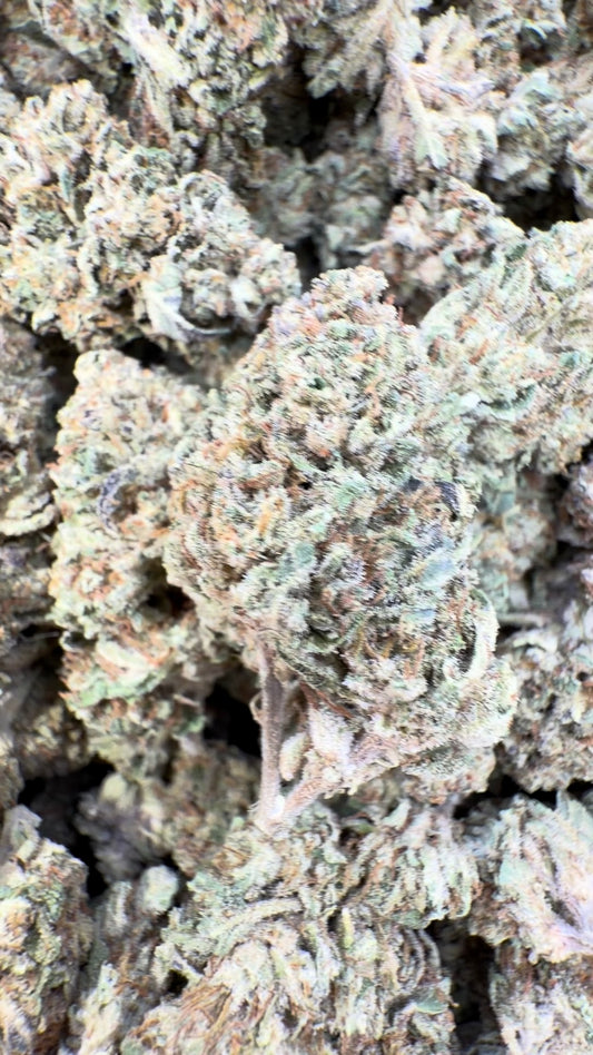 Grease Monkey - Bulk- Indica