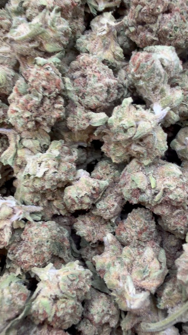 Horchata Gas Minis - Bulk Minis - Hybrid