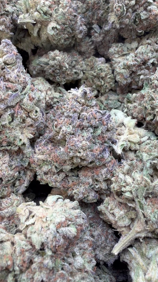 Cakemera - Bulk - Indica