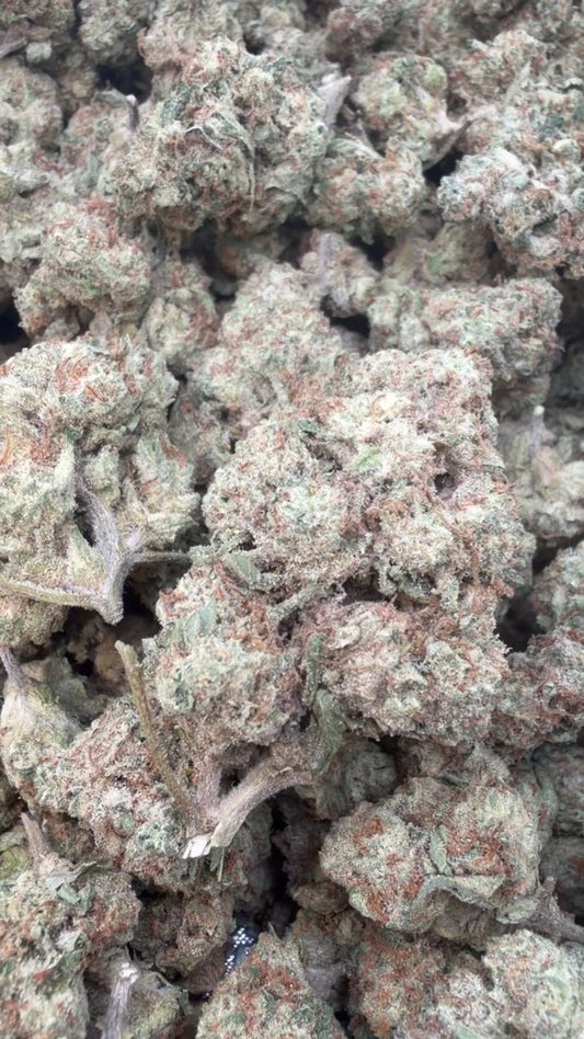 Blueberry Muffins Mediums - Bulk Mediums - Indica