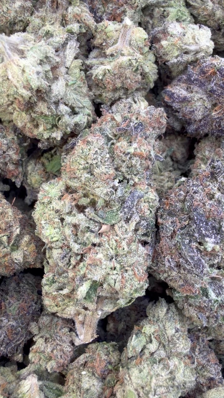 Animal Mintz - Bulk - Hybrid