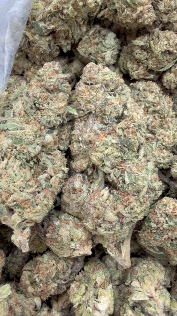 Slurty - Bulk - Indica