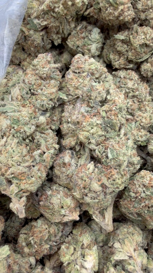 Slurty - Bulk - Indica