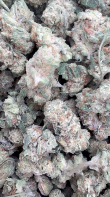Thin Mintz Minis - Bulk Minis - Hybrid