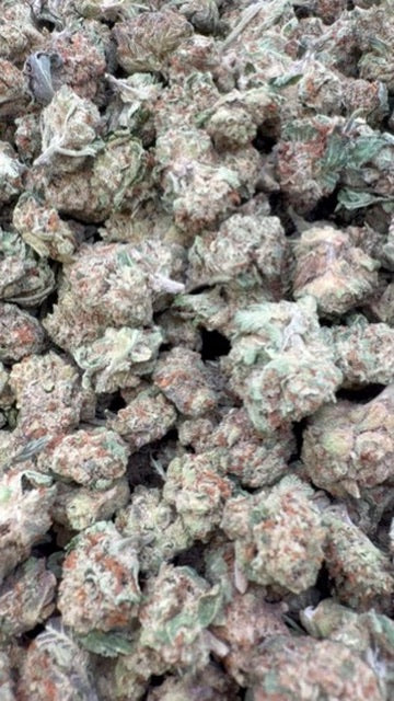 Cookie Fuel Minis - Bulk Minis - Hybrid