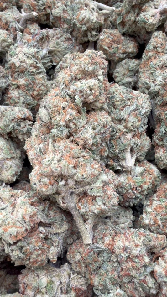 Cherry Pie - Bulk - Hybrid