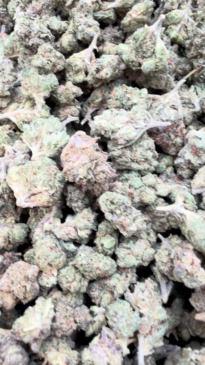 Blue Runtz Minis - Bulk Minis - Hybrid