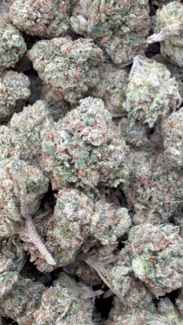 Citrus Kush Indoor - Bulk - Indica