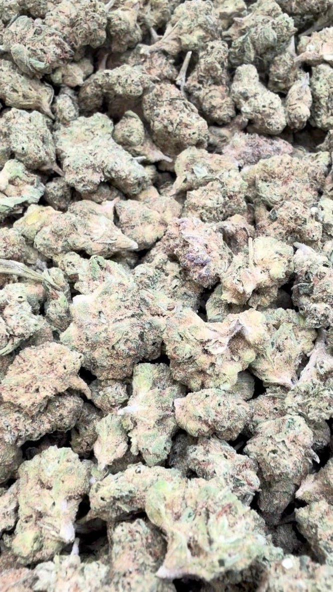 Gumbo Minis - Bulk Minis - Hybrid