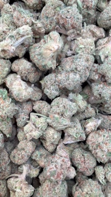 Illuminati Minis - Bulk Minis - Indica