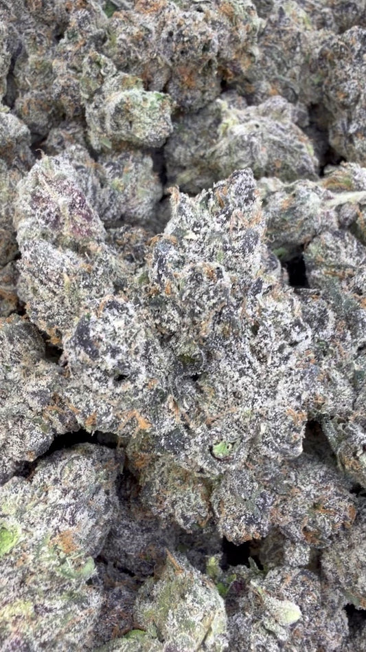 Pink Runtz - Bulk - Hybrid