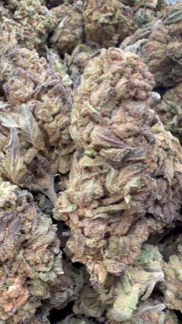 White Gelato - Bulk - Indica