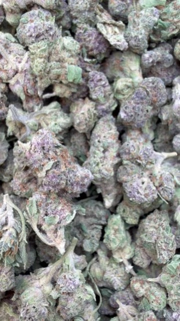 Pop Cherry Minis - Bulk Minis - Hybrid