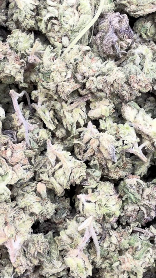 Purple Mendo Minis - Bulk Minis - Indica