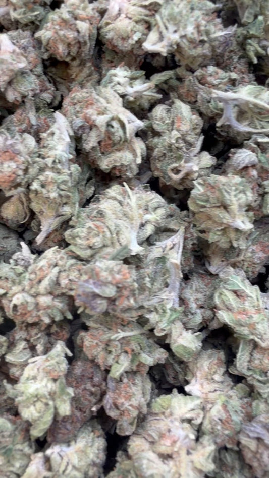 24K Gold Minis - Bulk Minis - Indica