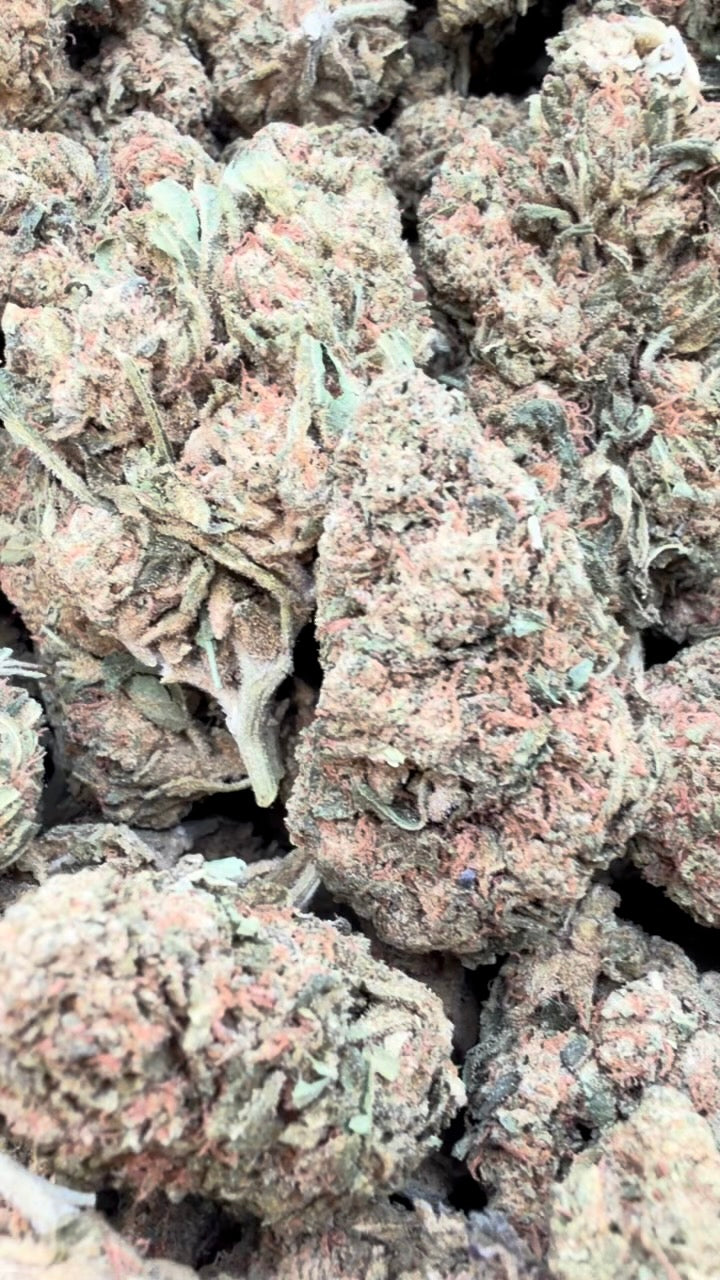 Banjo - Bulk - Sativa