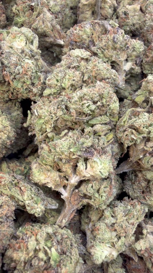 Super Runtz - Bulk - Hybrid