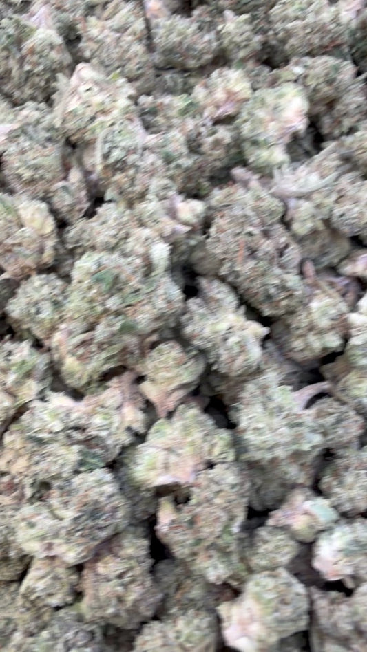 Sherblato Minis - Bulk Minis - Hybrid