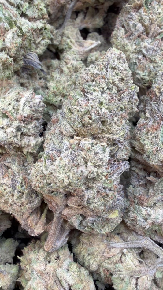 White Runtz - Bulk - Hybrid