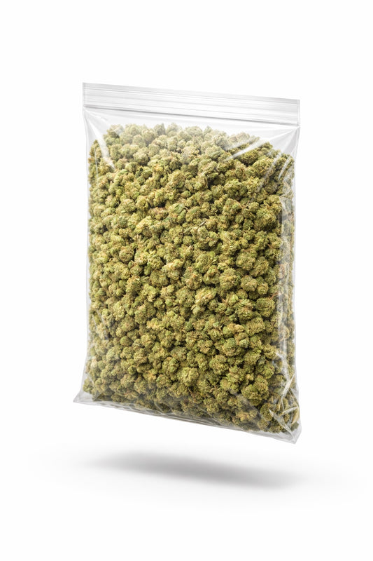 XJ 13 Minis - Bulk Minis - Sativa