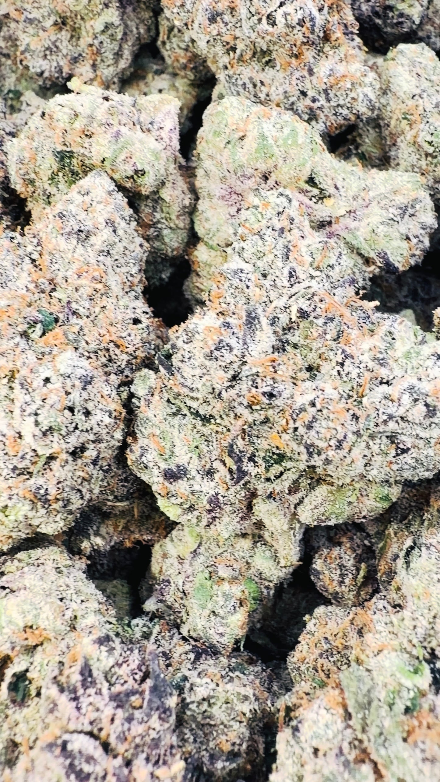 Boutique Exotics  Lemon Dior - Bulk - Hybrid