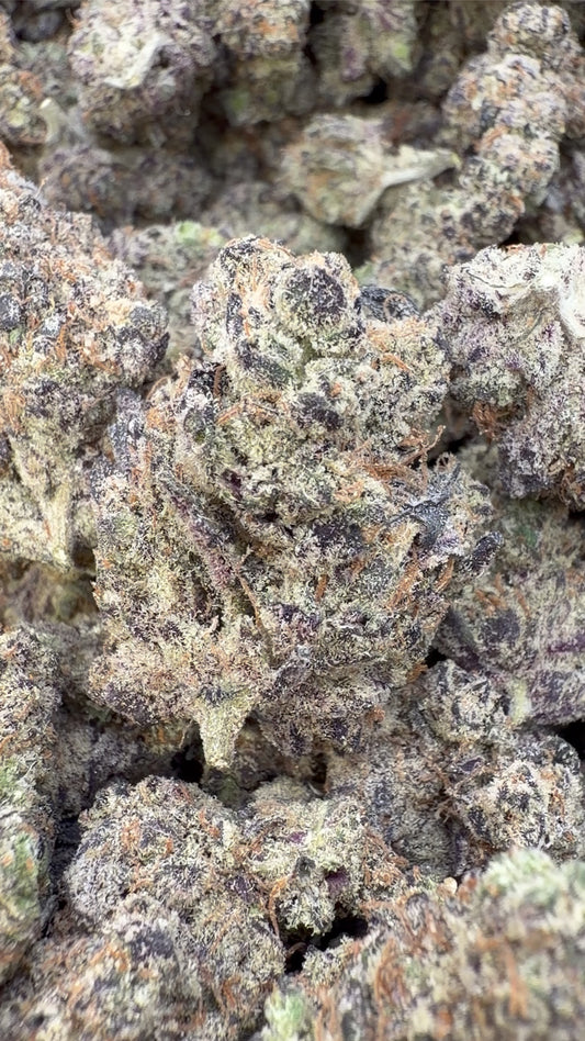 Icy Pop Indoor - Bulk - Hybrid