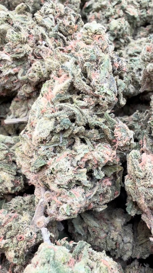 Green Crack - Bulk - Sativa