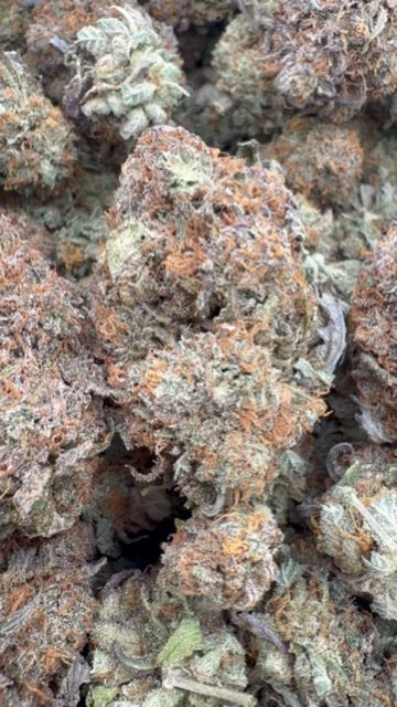 Platinum Bubba Indoor - Bulk - Indica