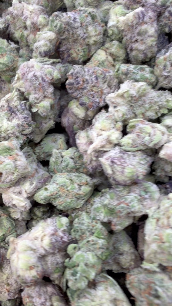 Garlic Cookies Indoor Minis - Bulk Minis - Indica