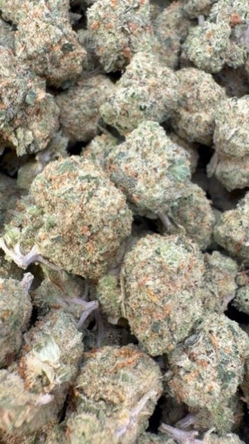 Oreoz Indoor Minis - Bulk Minis - Indica