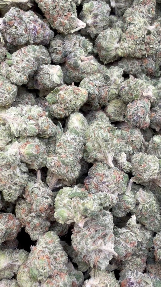 Hella Jelly Minis - Bulk Minis - Sativa