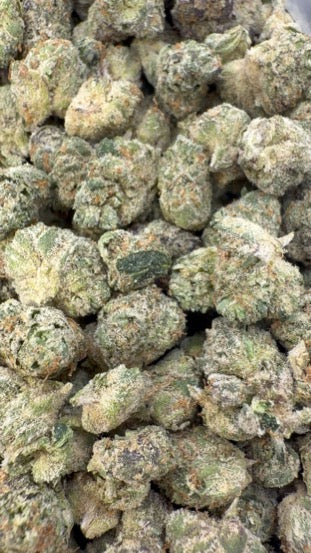 Lemonatti Indoor Minis - Bulk Minis - Sativa