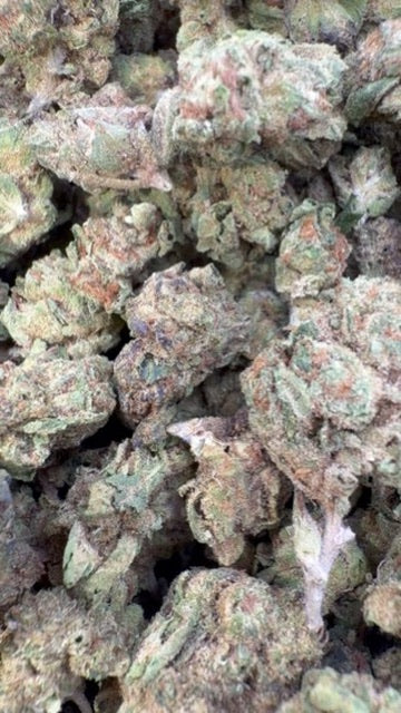 Gruntz Minis - Bulk Minis - Indica