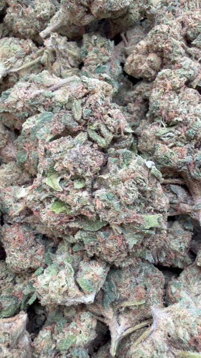 Orange Creamsicle - Bulk - Sativa