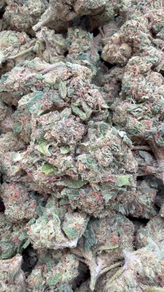 Orange Creamsicle - Bulk - Sativa