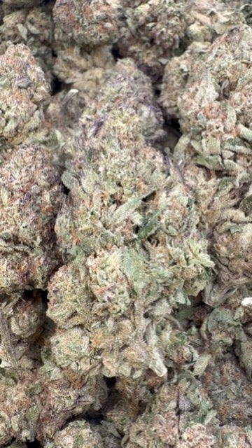 Birthday Cake - Bulk - Indica