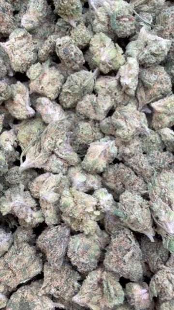 Apple Banana Minis - Bulk Minis - Hybrid