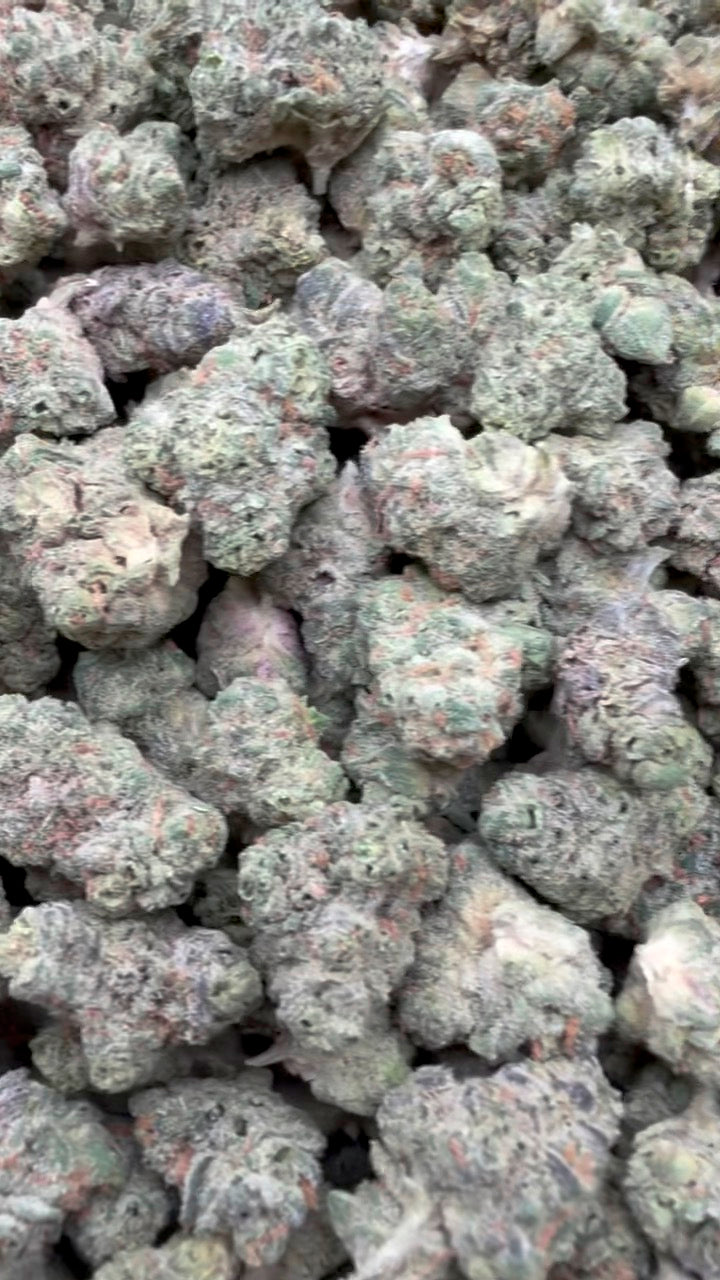 Grease Monkey Minis - Bulk Minis - Indica