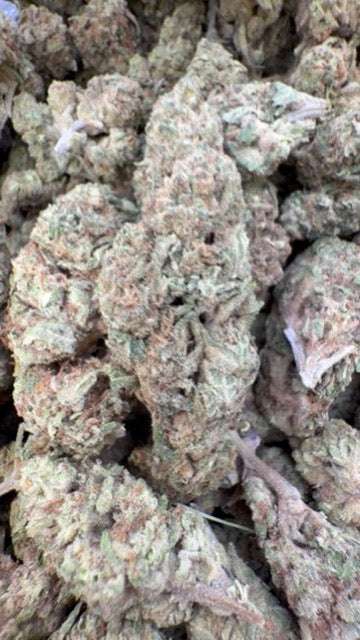 Apple Fritter - Bulk - Hybrid