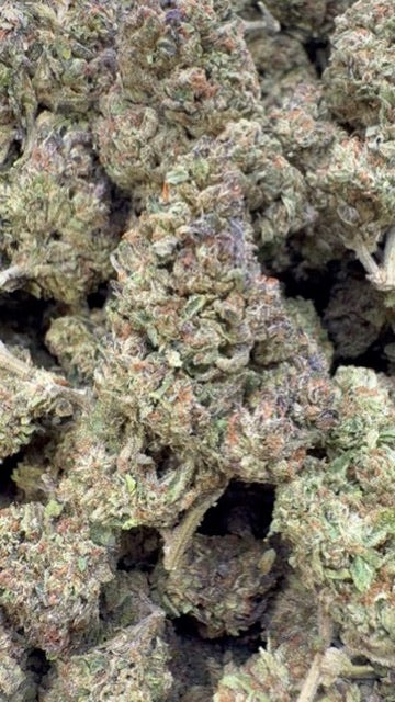 Purple Octane - Bulk - Indica