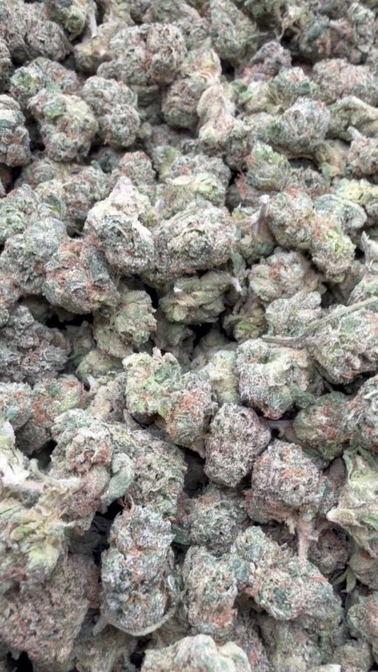 Blue Nerds Indoor Minis - Bulk Minis - Hybrid