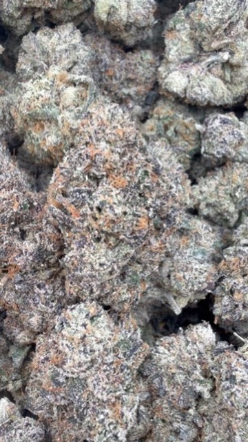 LA Runtz Indoor - Bulk - Hybrid