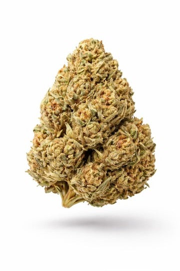 White Gelato - Bulk - Indica