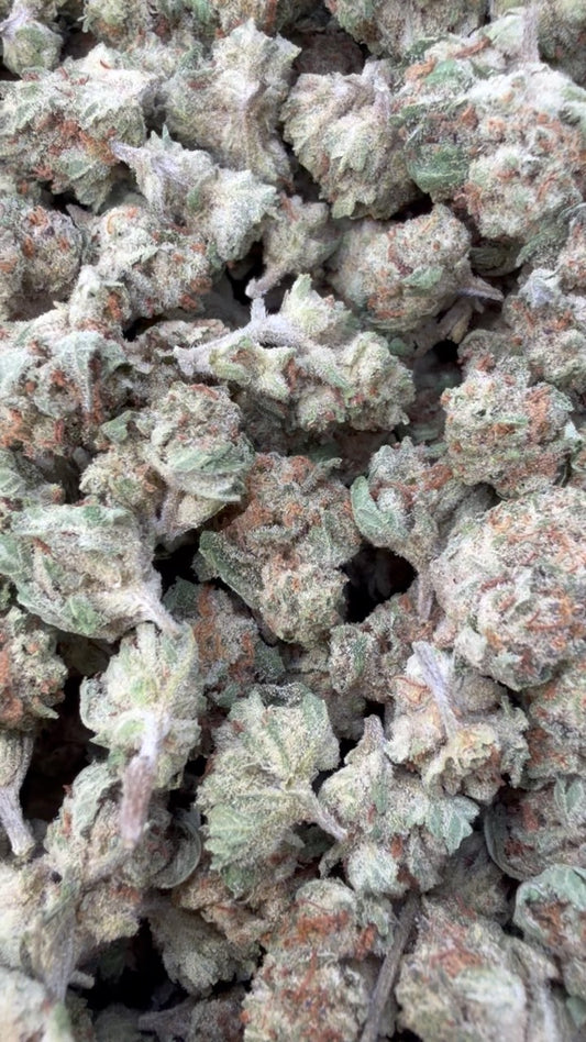 Papaya Runtz Minis - Bulk Minis - Hybrid