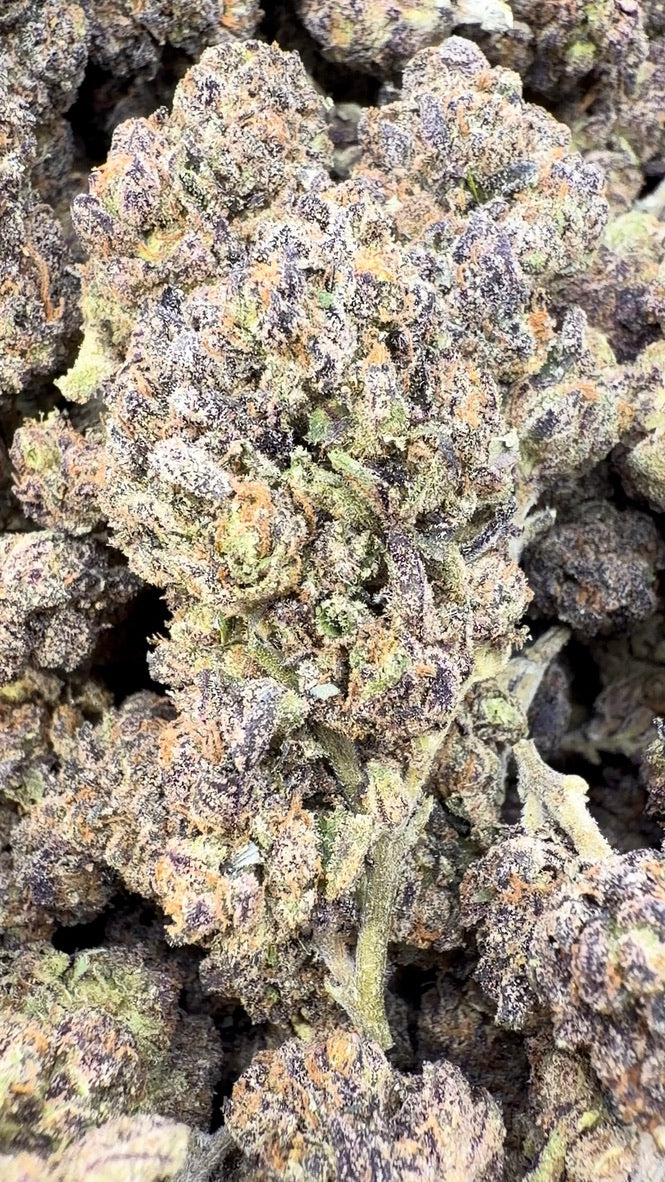 White Biscotti - Bulk - Indica