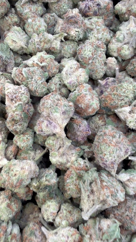 Apple Banana Minis - Bulk Minis - Hybrid