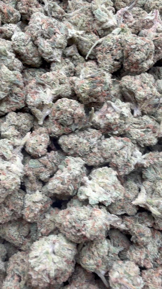 Garlic Cookies Minis - Bulk Minis - Indica