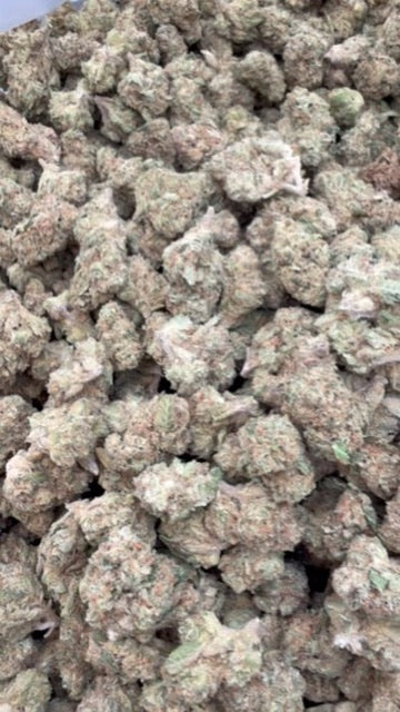 Blueberry Lemon Bars Minis - Bulk Minis - Hybrid