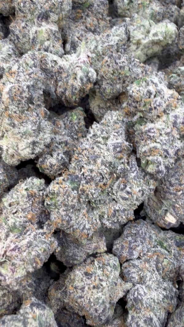 Pink Runtz Indoor - Bulk - Hybrid – Smoke Kind