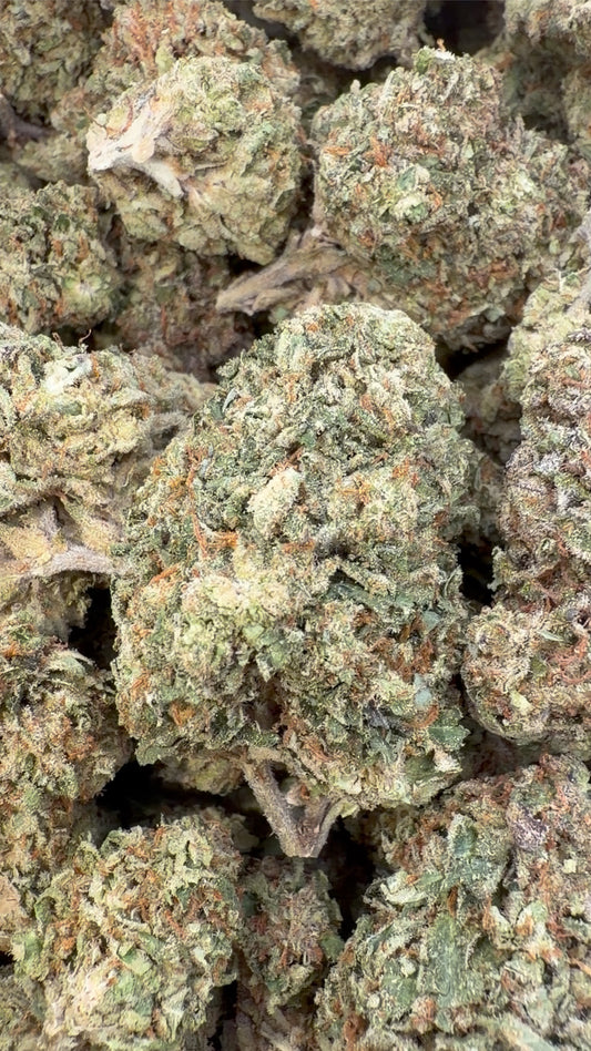 Biscotti Mintz - Bulk - Indica